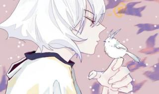 双男主开最猛的车动漫 双男主开最猛的车动漫